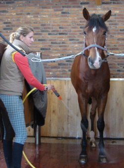 Janine Denen tijdens haar werk als groom voor Anky