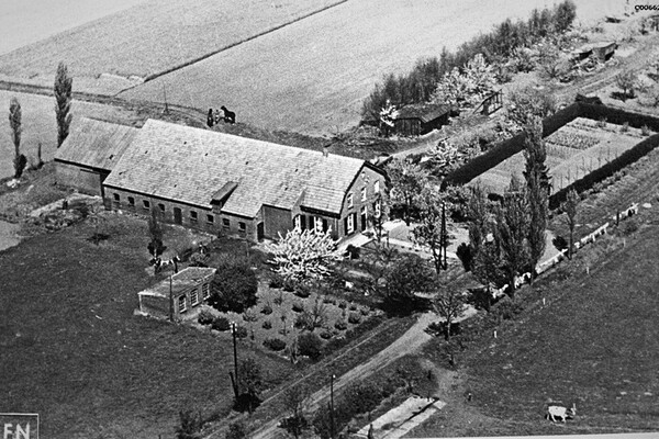 De oude schoenendoos